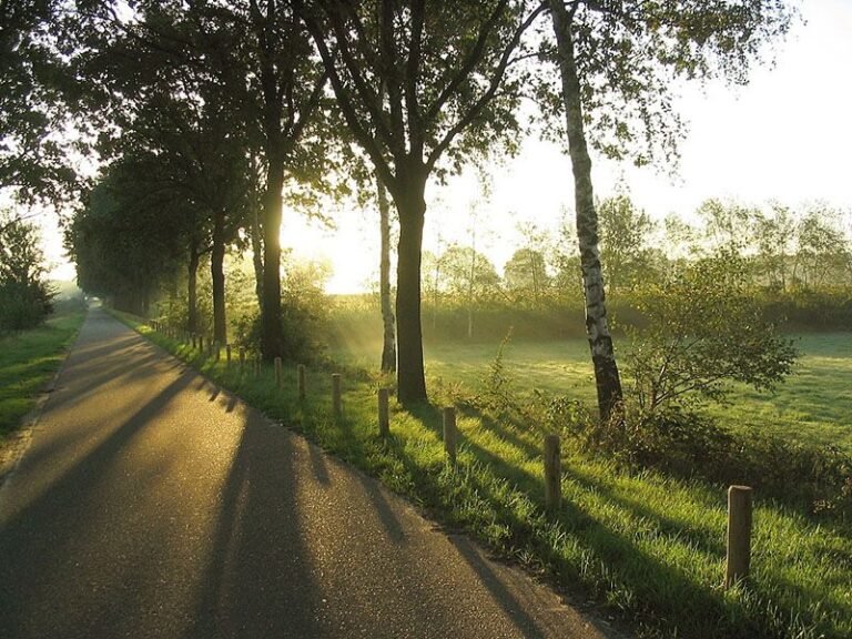 Nederland Peelland